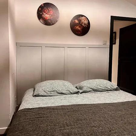 5- Les Erables Mauves Apartman Poitiers