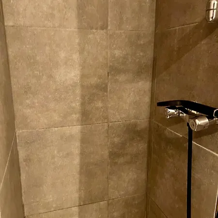 5- Les Erables Mauves